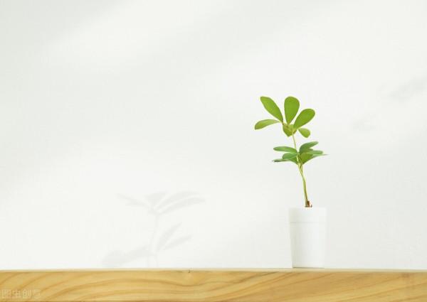 人到老年，沒婚姻沒子女真的會很慘嗎？76歲老人：學會心靜自然順