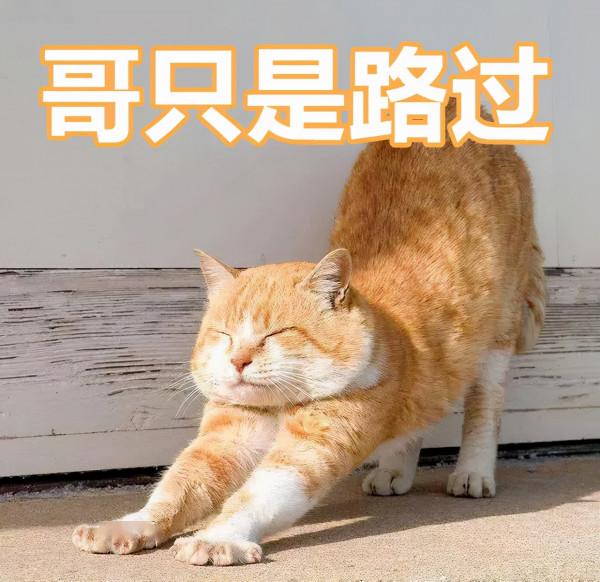 《霸道貓咪和它的小皇帝》 《霸道貓咪和它的小皇帝》