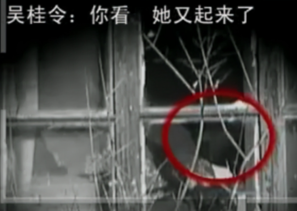 河北35歲懶惰女孩，臥床裝癱讓家人照顧20年，監控戳穿多年騙局