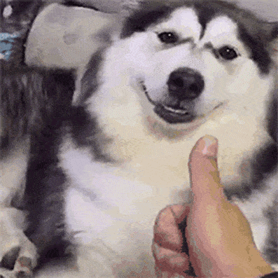 笑死人,美隊曾想勒暈機器人?細數那些年美隊幹過的迷之操作 笑死人,美隊曾想勒暈機器人?細數那些年美隊幹過的迷之操作