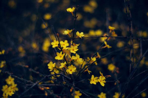 這一生，無論和誰相處，記住這幾句話