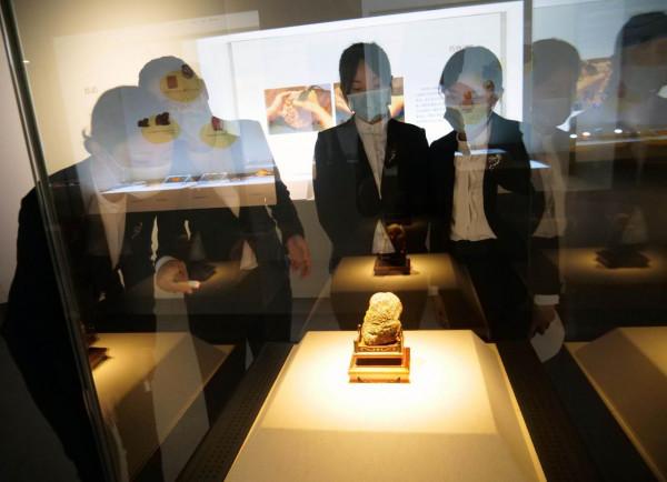 兩大地質科普展在深圳博物館古代藝術館開幕 兩大地質科普展在深圳博物館古代藝術館開幕