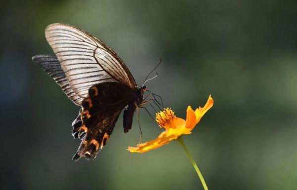 女人去外地帶孫子,男人在家怎樣過?56歲大伯直言:不能虧待自己 女人去外地帶孫子,男人在家怎樣過?56歲大伯直言:不能虧待自己