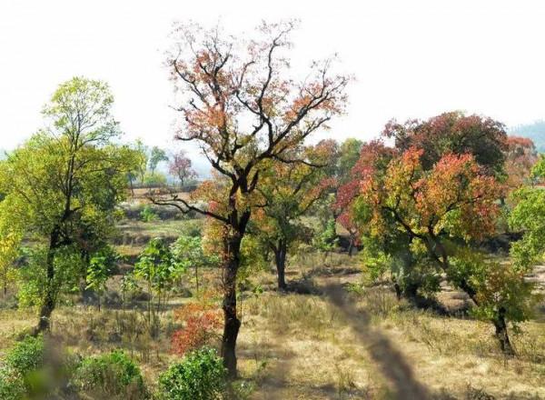 秋天的美景，真迷人