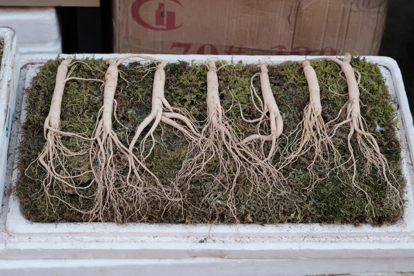 國內菜市場丨瀋陽·西塔特色街，感受東北的人間煙火