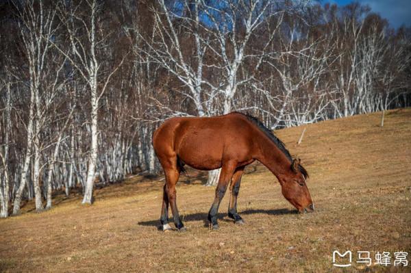 三天三季-我的烏蘭布統之旅 第三篇