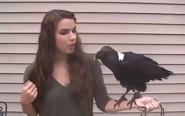 24個&OpenCurlyDoubleQuote;不為人知&rdquo;的動物事實，讓人眼界大開