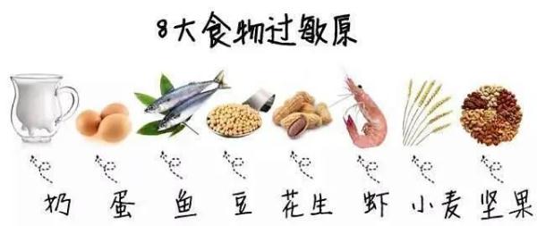 食物過敏？怎樣預防？