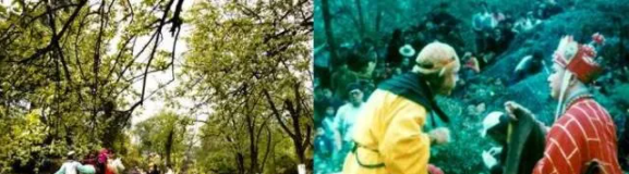 網紅照騙有風險？來羅浮山溫泉旅遊度假區，一秒真實出片！