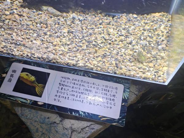 內蒙古科技館一日遊