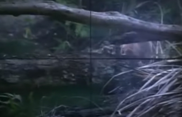 乾淨利落酣暢淋漓！盤點10部經典高評價狙擊題材電影