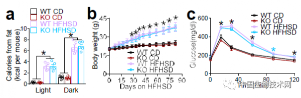 心臟：我命由&OpenCurlyDoubleQuote;天&rdquo;不由人！科學家發現熬夜導致心臟病的因果聯絡