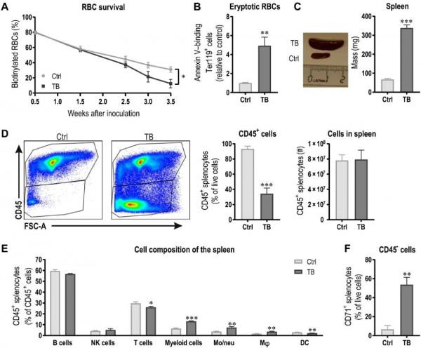 ​Science子刊：運動可改善腫瘤相關性貧血症