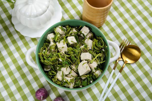 孩子吃高蛋白食物也長不高？這麼多年吃錯了