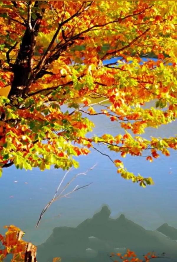 七律· 壟 上 行