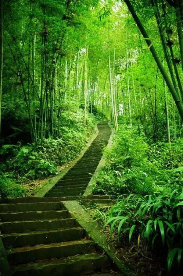 60歲前必去的35個地方，去過15個才不枉此生，你去過幾個？