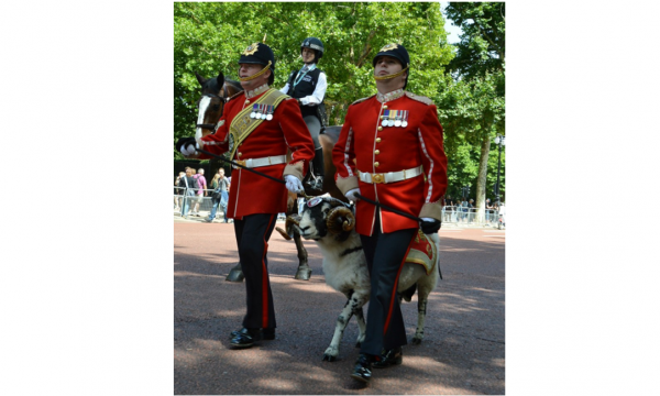 英陸軍麥西亞團：歷史、軍改後的編制和軍樂隊
