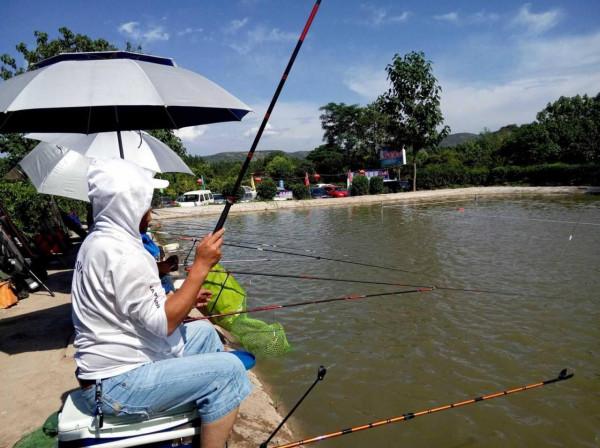 新手到底憑什麼能在黑坑爆護