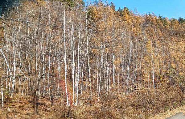 賞秋北行記（10）