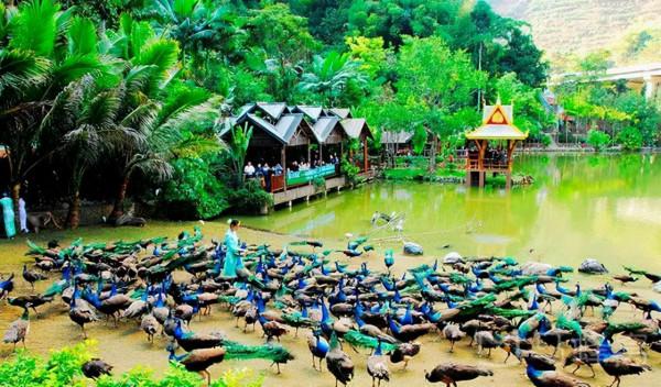 國內旅遊那些出名的打卡地