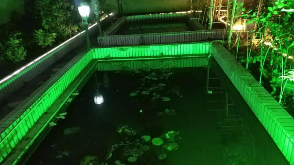 老家的庭院 老家的庭院