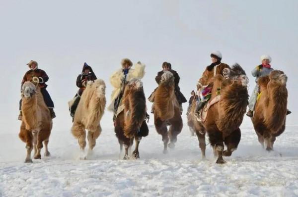 分享：內蒙大草原，一望無垠，沃野千里，萬馬奔騰，壯觀
