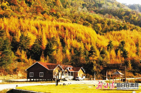 兩當紅葉：沉澱了春夏，輝煌了深秋