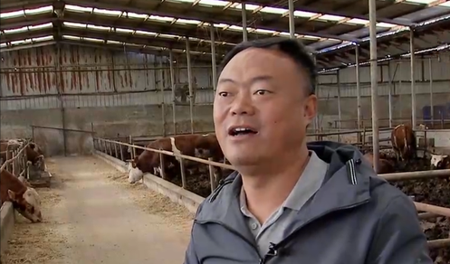 大叔零經驗創業養牛，靠堅持和誠信，銷售額過億成養殖界的牛人