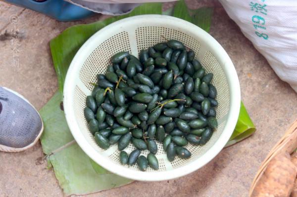 雲南菜市場有多“野”，逛了一圈，讓人眼界大開，幾乎都不認識