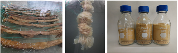 海水提鈾有多難?我國2021年突破封鎖,未來或將形成全新核威懾 海水提鈾有多難?我國2021年突破封鎖,未來或將形成全新核威懾