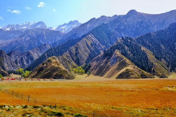 最經典的詩詞530首,掌握這些詩詞對寫詩和鑑賞詩詞足夠了 最經典的詩詞530首,掌握這些詩詞對寫詩和鑑賞詩詞足夠了