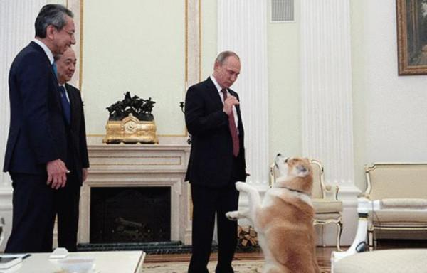 日本最害怕的國家是俄羅斯,日本叫囂挑釁的背後,恐俄症卻在泛濫 日本最害怕的國家是俄羅斯,日本叫囂挑釁的背後,恐俄症卻在泛濫