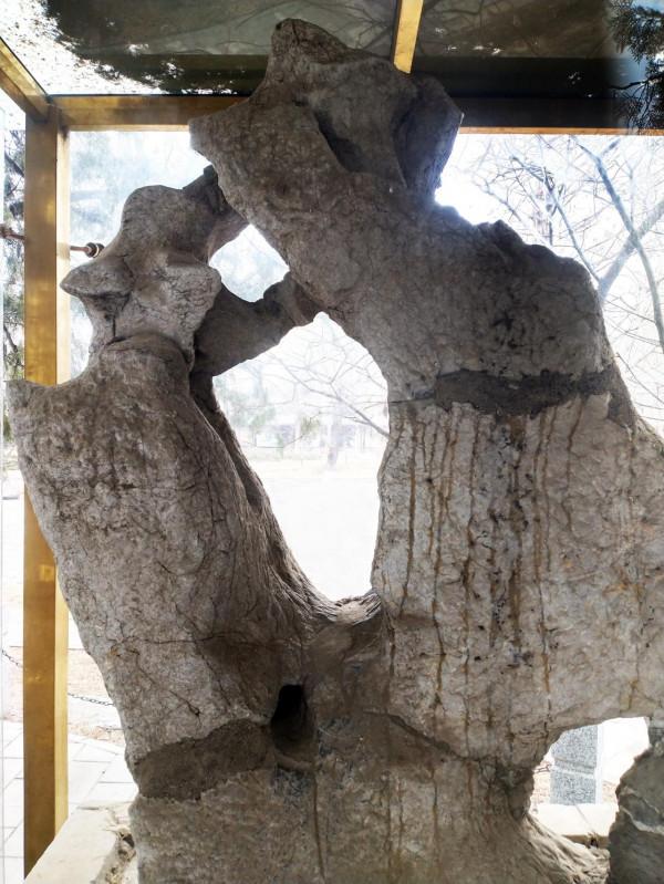 恰逢中秋賞乾隆御筆 賞石“繪月” 恰逢中秋賞乾隆御筆 賞石“繪月”