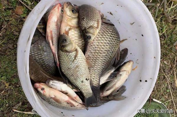 冬季這3種天氣不要出釣,大機率空軍,釣不到魚,只能挨冷受凍 冬季這3種天氣不要出釣,大機率空軍,釣不到魚,只能挨冷受凍