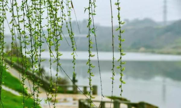 遲日江山麗，春風花草香。萬紫千紅一往情深中，邂逅古詩詞之美