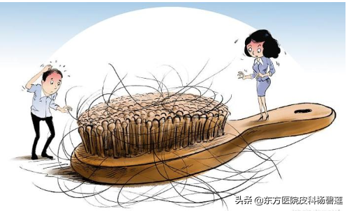 多一分溼氣,就少一根頭髮!除溼生髮是個不錯的思路 多一分溼氣,就少一根頭髮!除溼生髮是個不錯的思路