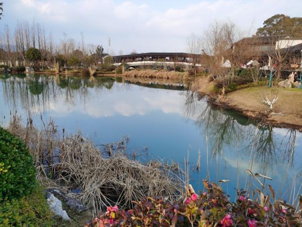 踏青早行人 作者：張鎖龍