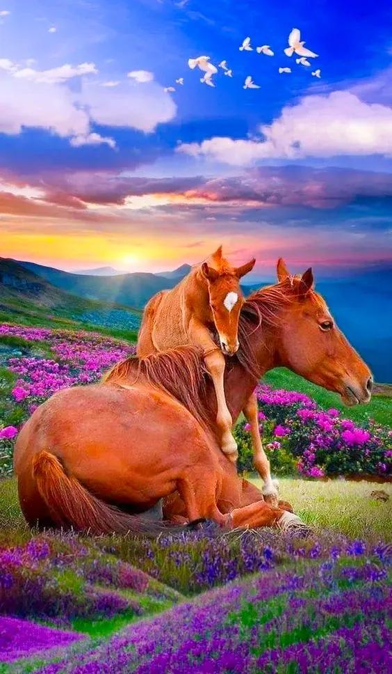 分享：美景如畫，驚豔絕倫，仙境一般的自然環境，如此優美迷人