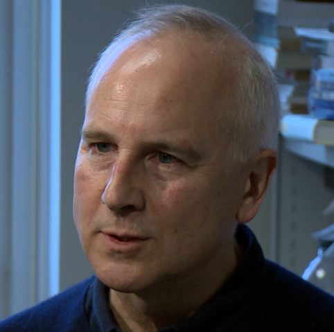 民主病了嗎?西方學者訪談錄 民主病了嗎?西方學者訪談錄