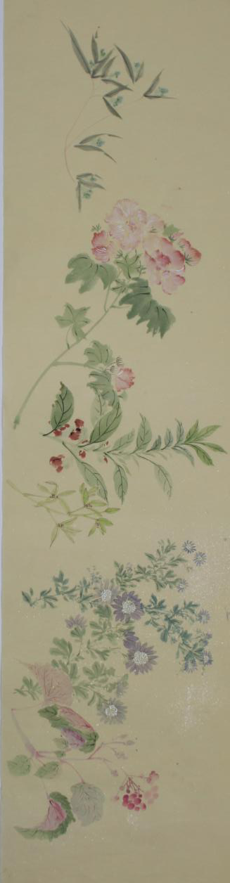 蘇珊 •《百花圖卷》 蘇珊 •《百花圖卷》