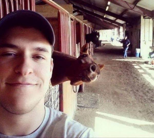 45張真實無PS照片,不看不知,用事實證明,動物們真的很可愛 45張真實無PS照片,不看不知,用事實證明,動物們真的很可愛