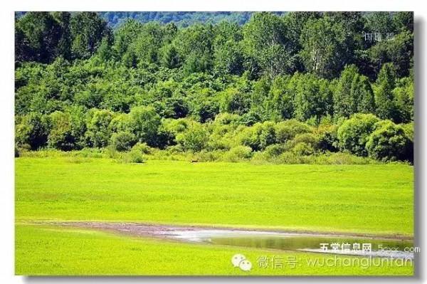 這是五常最美的夏日