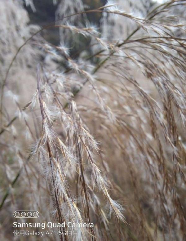 兩千五價位,舊款水果機很香?這三款同價位機型改變你的認知 兩千五價位,舊款水果機很香?這三款同價位機型改變你的認知