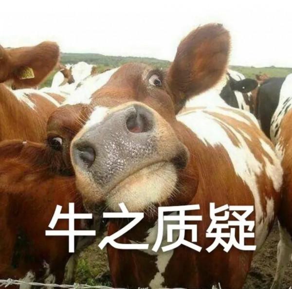 為什麼很多人覺得星座很準? 為什麼很多人覺得星座很準?