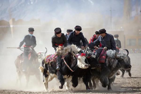 品讀新疆 | 新疆之美