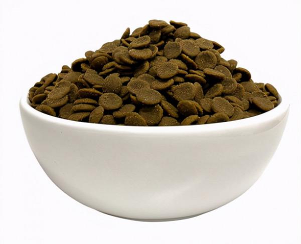 又帥又有型的6種“護衛犬”，忍不住多看一眼