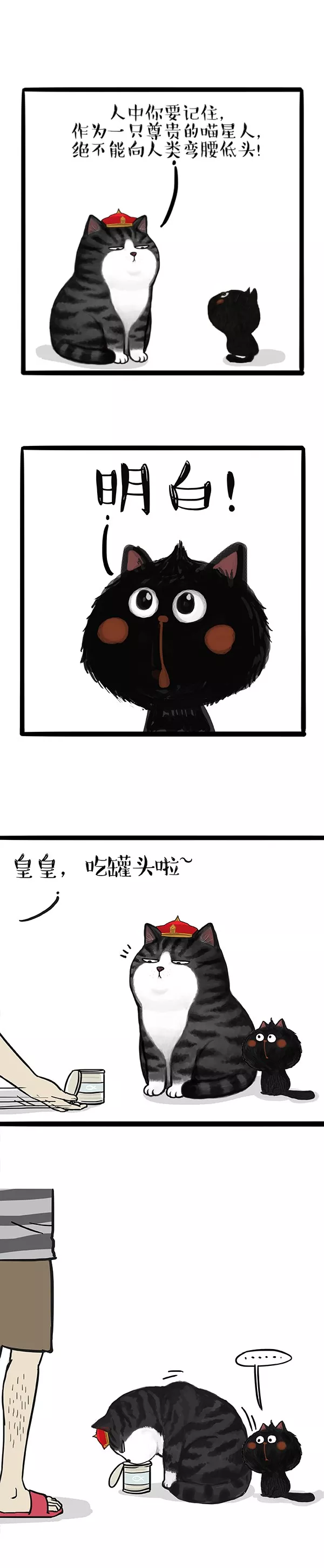 人類啊，你對我們的優秀一無所知（漫畫）