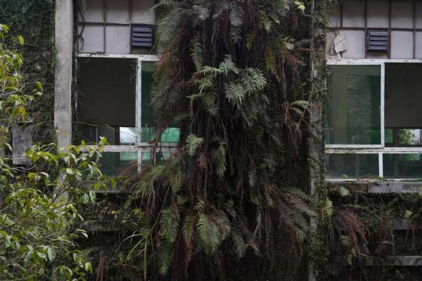 滄桑故事 回望茶城