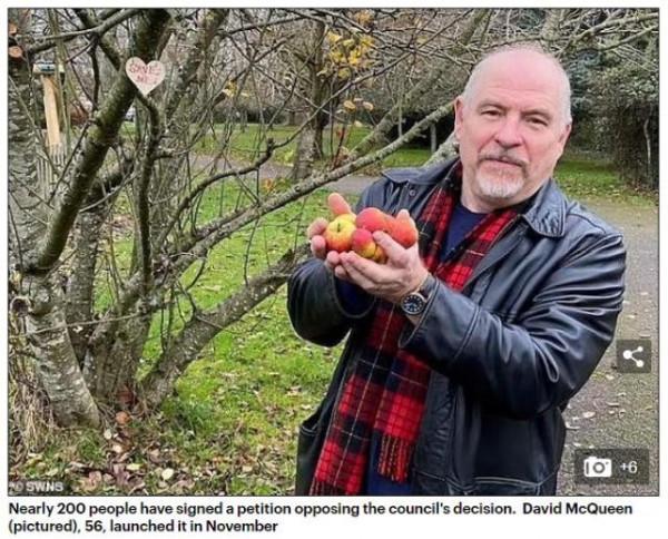 掉落蘋果有“絆倒人的危險”，英國一地決定砍樹，當地居民怒了