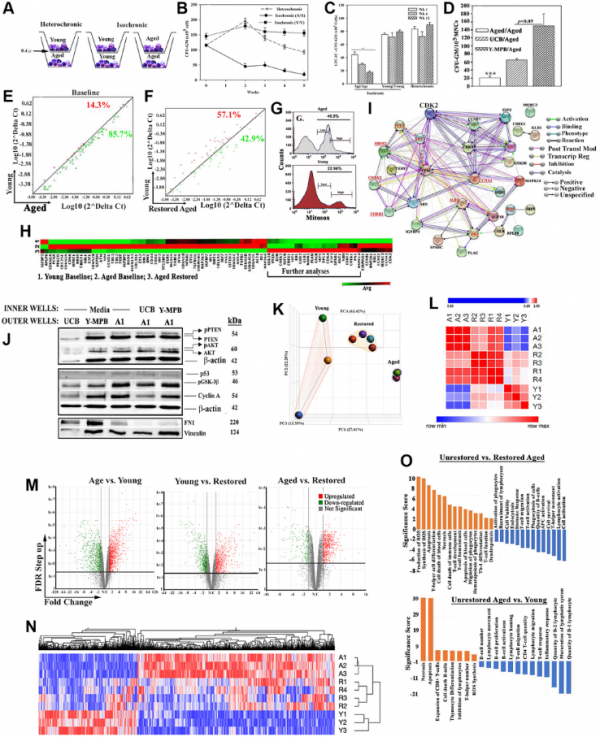 換血實驗2.0?《Aging》:年輕細胞中miRNA可逆轉老年造血功能 換血實驗2.0?《Aging》:年輕細胞中miRNA可逆轉老年造血功能